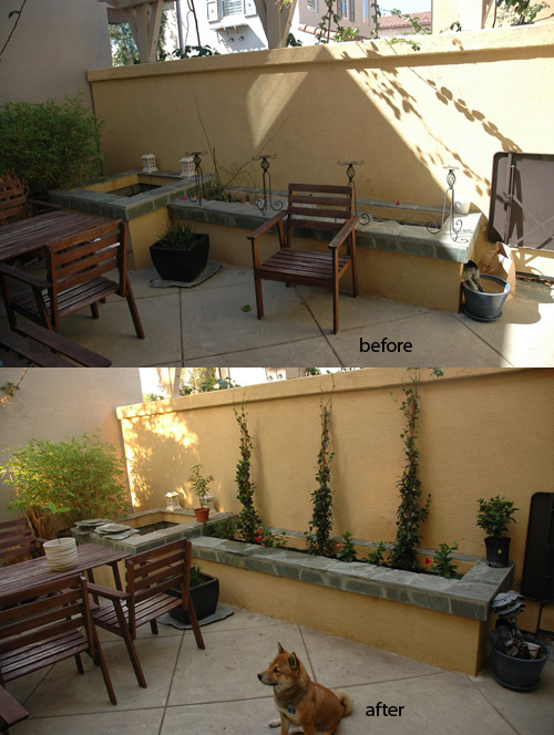 patio2.jpg