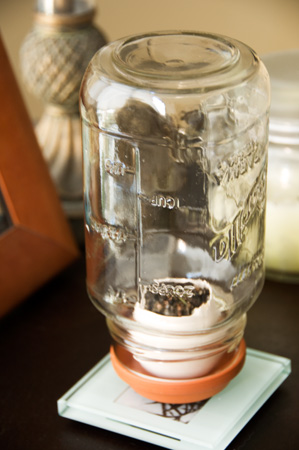 greenhouse jar