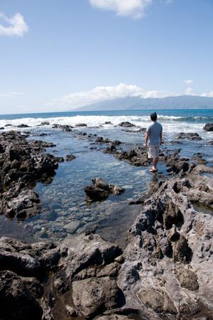 napili bay