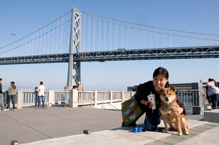 Bay Bridge