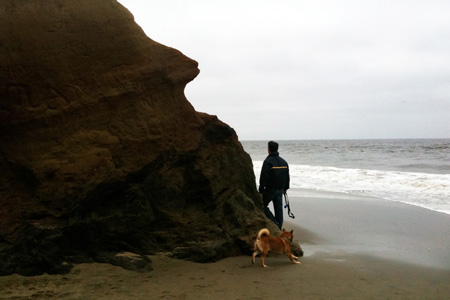 Fort Funston