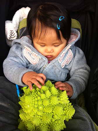 kumquat and romanesco